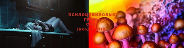 гашик Богданович
