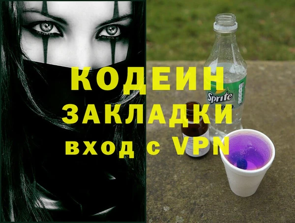 шишки Елизово