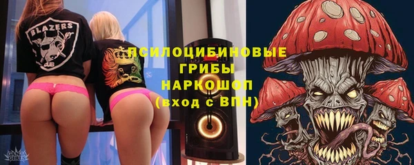 PSILOCYBIN Богородск