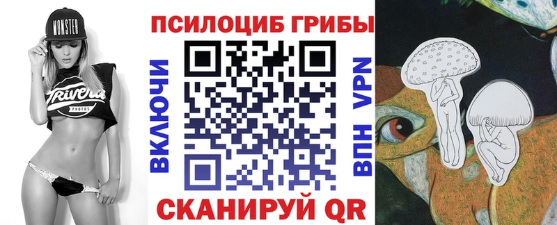 магазин    Мышкин  Галлюциногенные грибы Magic Shrooms 